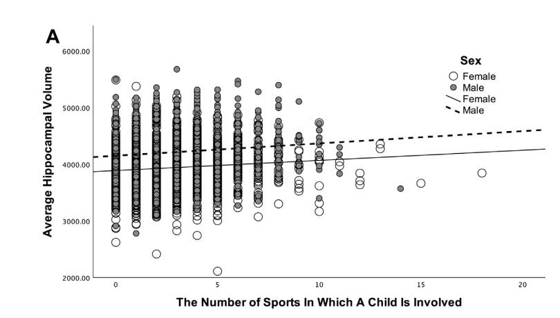 hippocampal-volume-and-number-of-sports-graph