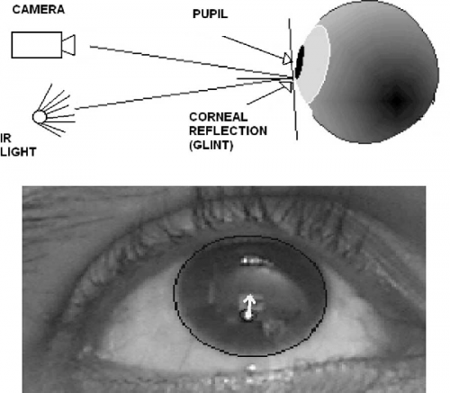 Figure 1 from Iris Center Corneal Reflection Method for Gaze ...