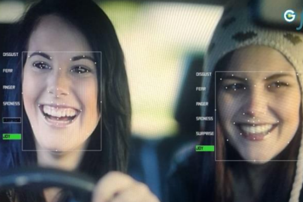 gFace面部表情检测系统 - 图片 3
