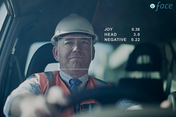 gFace面部表情检测系统 - 图片 2