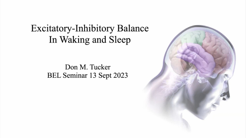 网络研讨会回顾 | 清醒与睡眠时的兴奋性抑制平衡