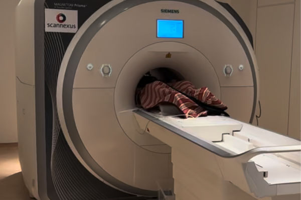 磁共振环境近红外脑成像系统NIRxBorealis - 图片 2